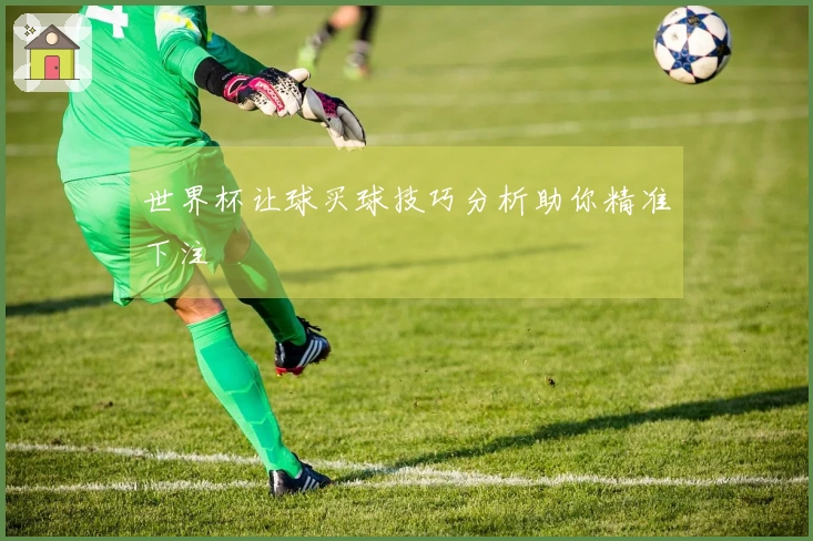 世界杯让球买球技巧分析助你精准下注
