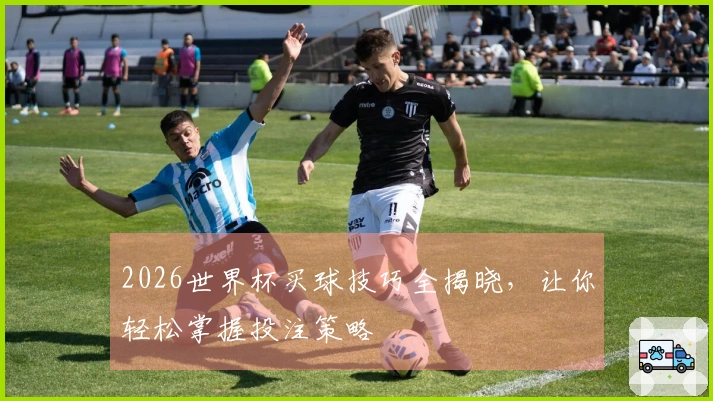 2026世界杯买球技巧全揭晓，让你轻松掌握投注策略