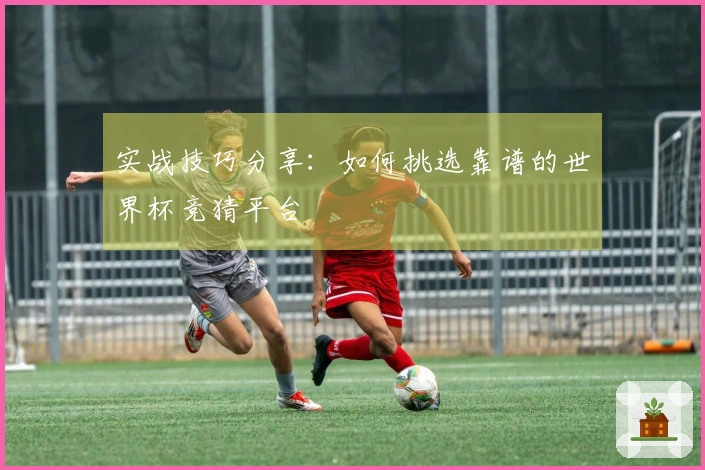 实战技巧分享：如何挑选靠谱的世界杯竞猜平台