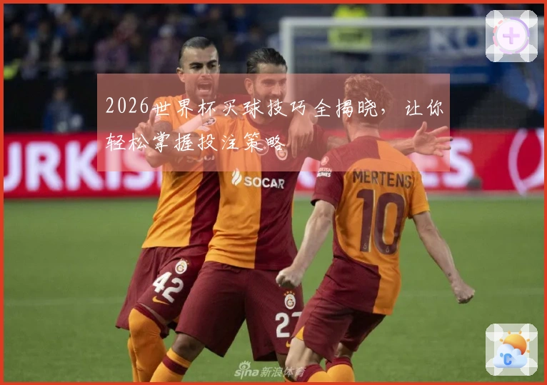 2026世界杯买球技巧全揭晓，让你轻松掌握投注策略