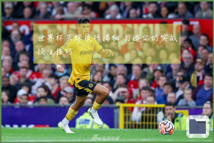 世界杯买球技巧揭秘 打造你的实战投注技巧