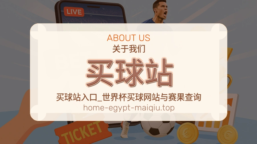 关于 买球站 团队与服务